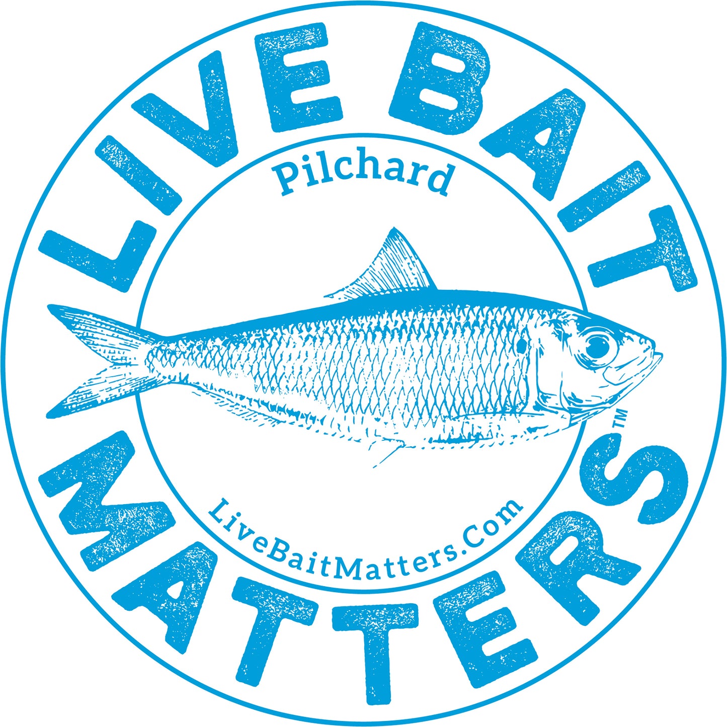 Live Bait Matters - Ballyhoo 5" Round Sticker